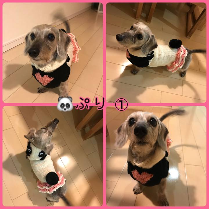 Efcedd89 3c46 45d0 bf8a c7341d66f666 1509010329710