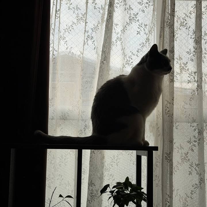 Efceeee2 6873 4404 bc69 c9e6ef157720 1766153916018