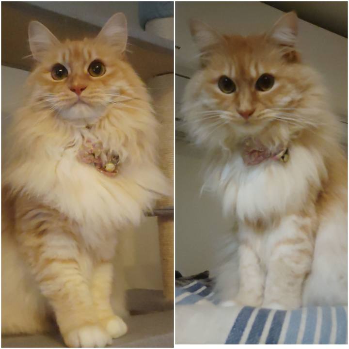 Efcf12da 35c0 4bce a56b a5236993a40a 1679226455442