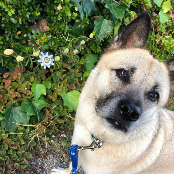 Efd034f0 0933 4195 be45 259b343dcc83 1624881095934