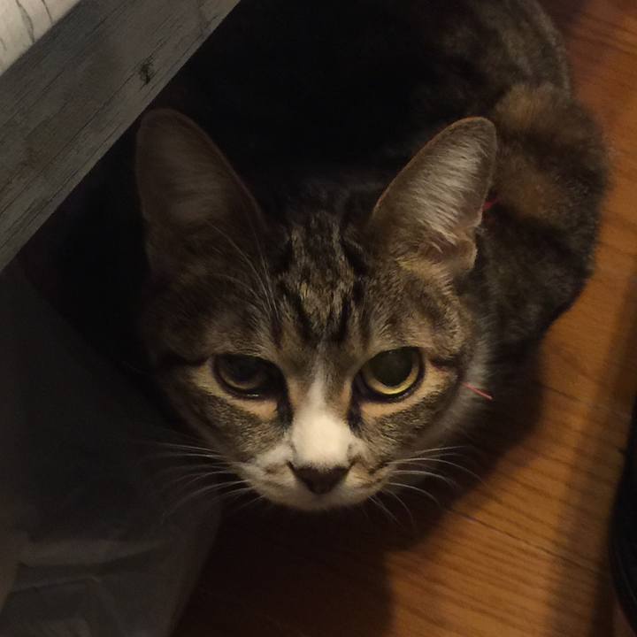 Efd07197 d128 422a a941 855afcc86e82 1547311551510