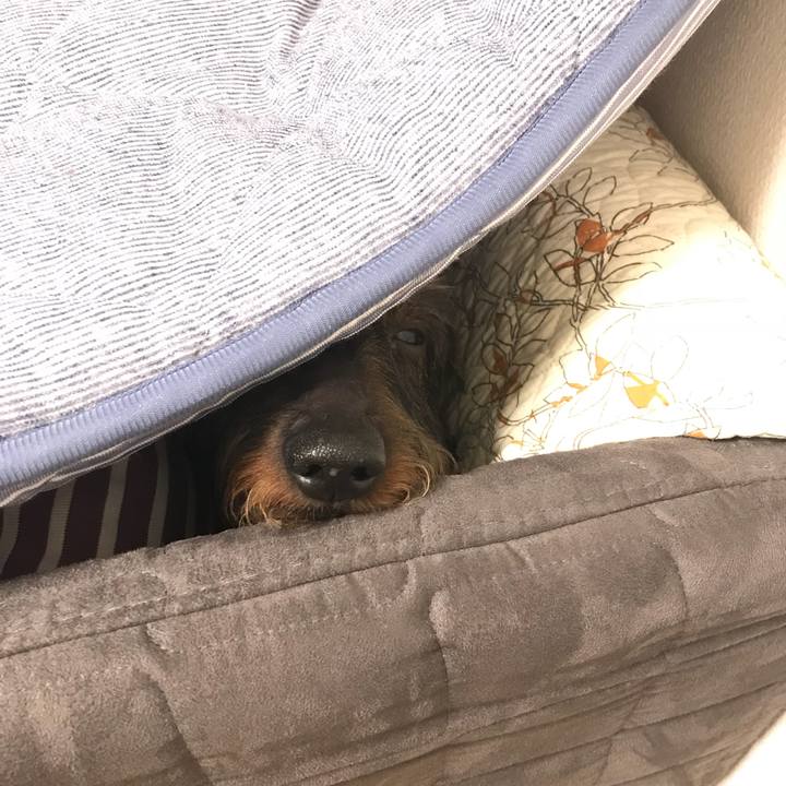 Efd08072 0e74 4138 acbd ae6d29861c76 1515849378553