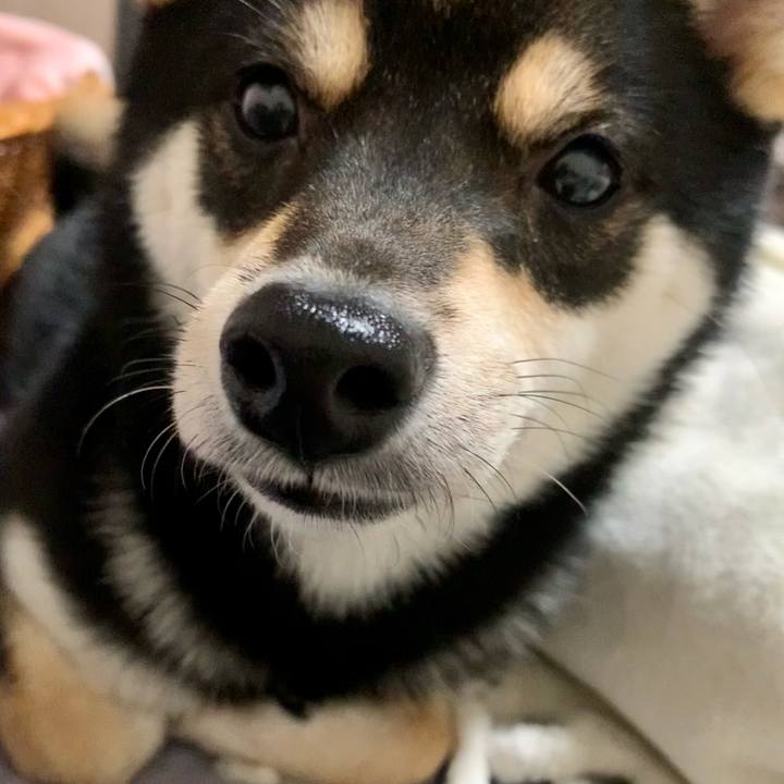 Efd088f7 3322 4bfd be13 b22a83c75e7d 1617018092141