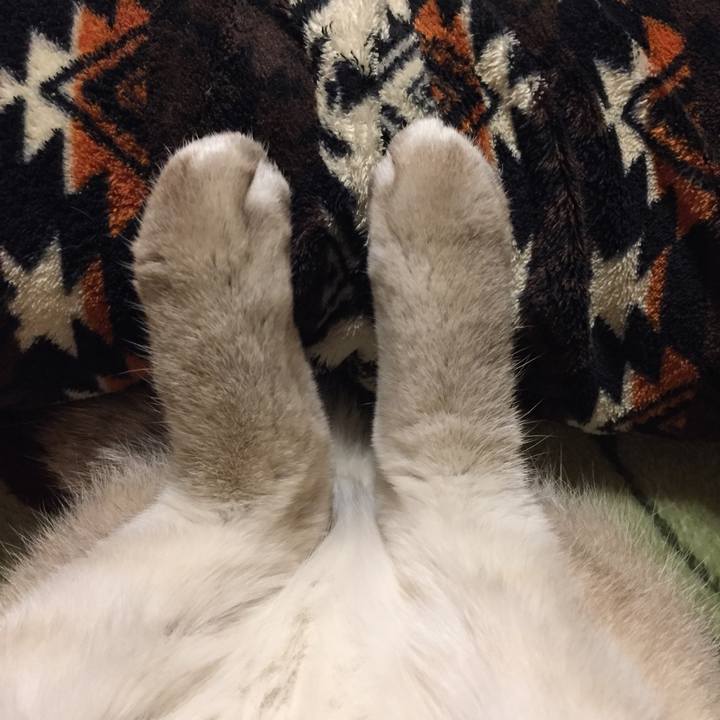 Efd09054 d108 49a8 b5f1 5fcf1efd6900 1582371390619