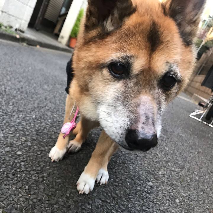 Efd0bae1 08e1 4568 b227 dda321b158bd 1548024383841