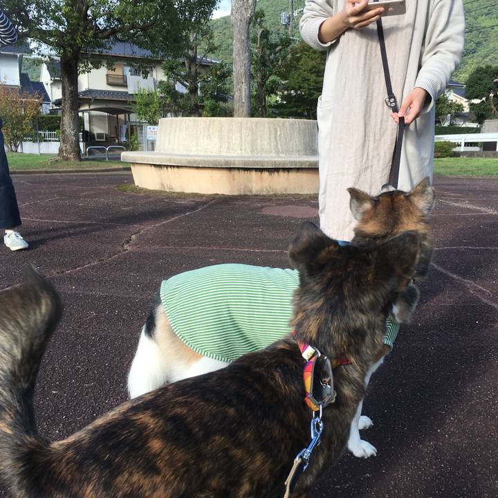 Efd0bb6a 7d74 4dd1 85c9 23a3741031c3 1508750142904