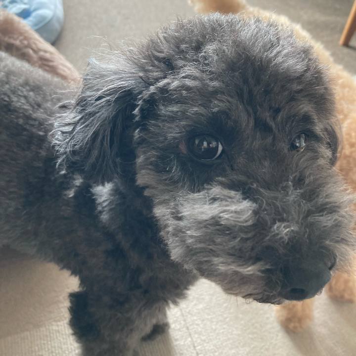 Efd0c5e2 3f82 4830 99c0 9755b171183d 1696203769075