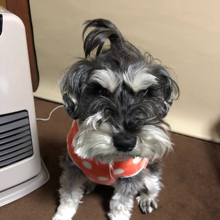 Efd0d88f dd60 4fa7 a332 a36e45a8678d 1519221954545