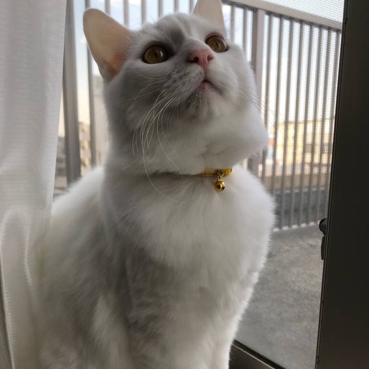 Efd0eb66 4b05 4fca 9866 04e6b578caab 1518233463187