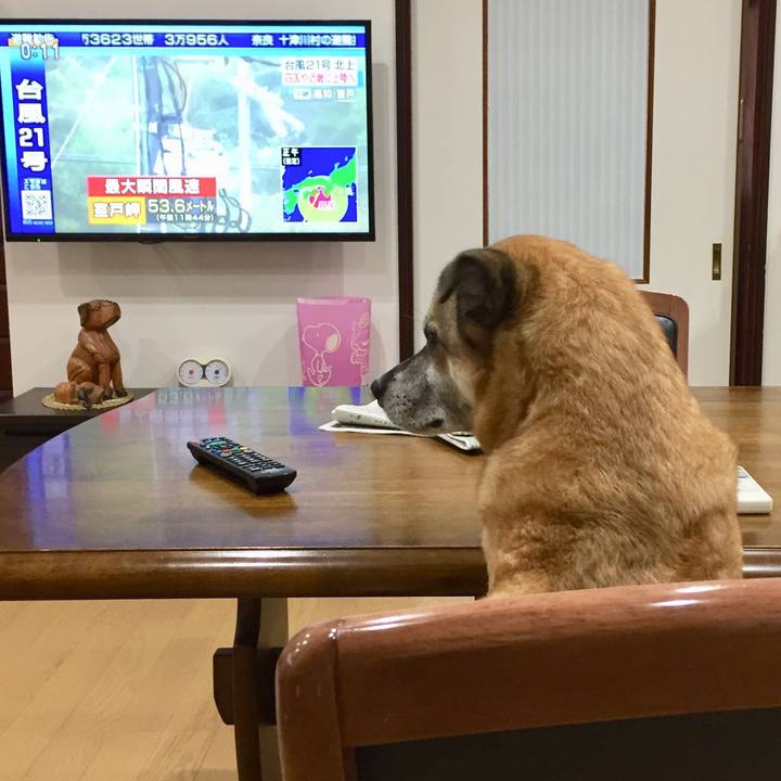 Efd16493 486b 4a05 9612 512e1a74ad58 1536031388243