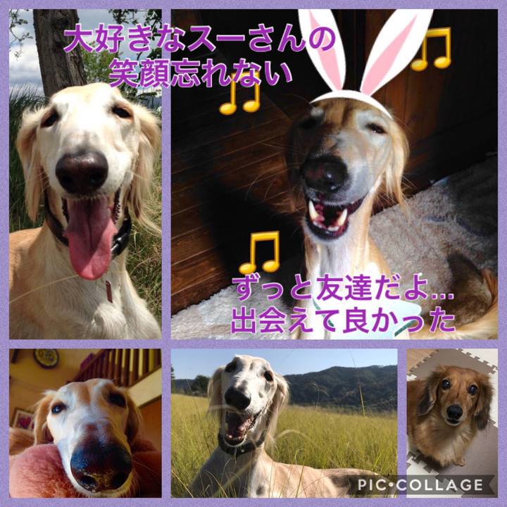 Efd1856a 76f2 4e81 9e13 debeb7a608ab 1544529804929