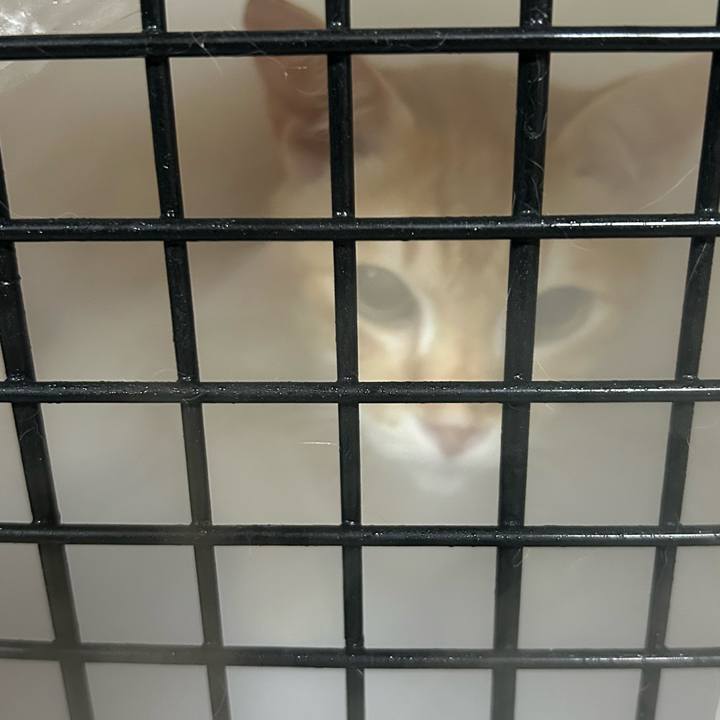 Efd1950d 32d9 4736 8c2a 3e7d9e0bfa36 1686663465254