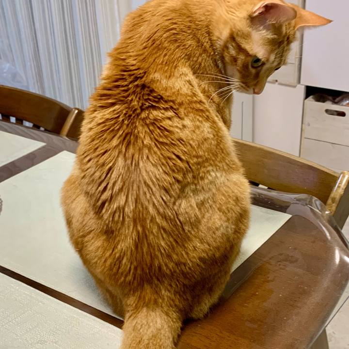 Efd19f71 88fd 4d23 86c7 cb1afbaa2203 1619390392016