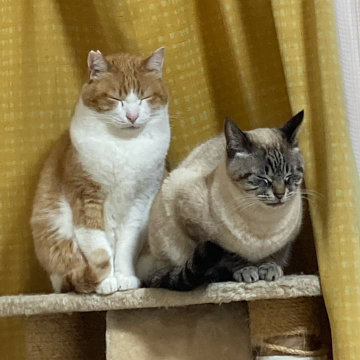 Efd1a7eb 4e36 4144 817f 29d1a388683a 1775142687944