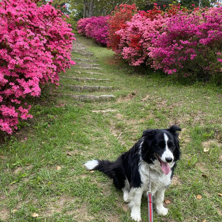 Efd1a9ba b8c4 4023 b1b5 aef99ed101e9 1650255115108