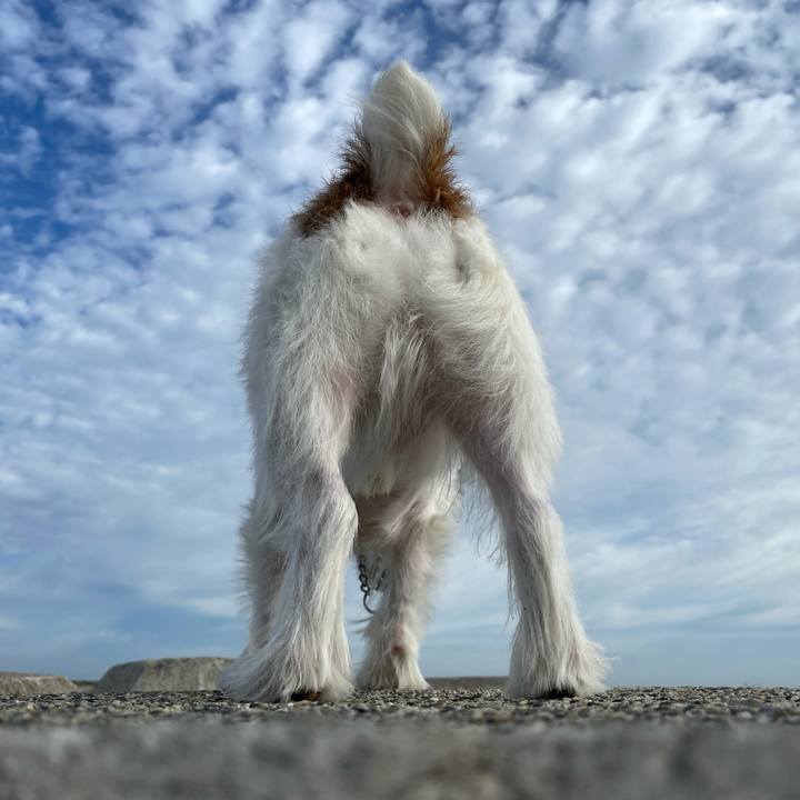 Efd1cd0c dc59 4d48 9af4 1de59787720a 1632785767100