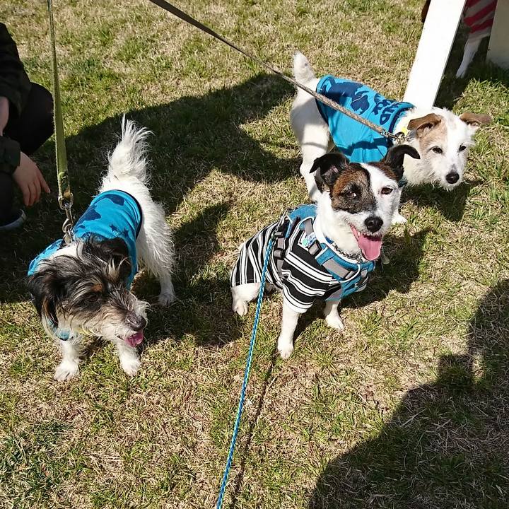 Efd219aa 964e 4177 93cf 1bbceca50d8e 1582431405073