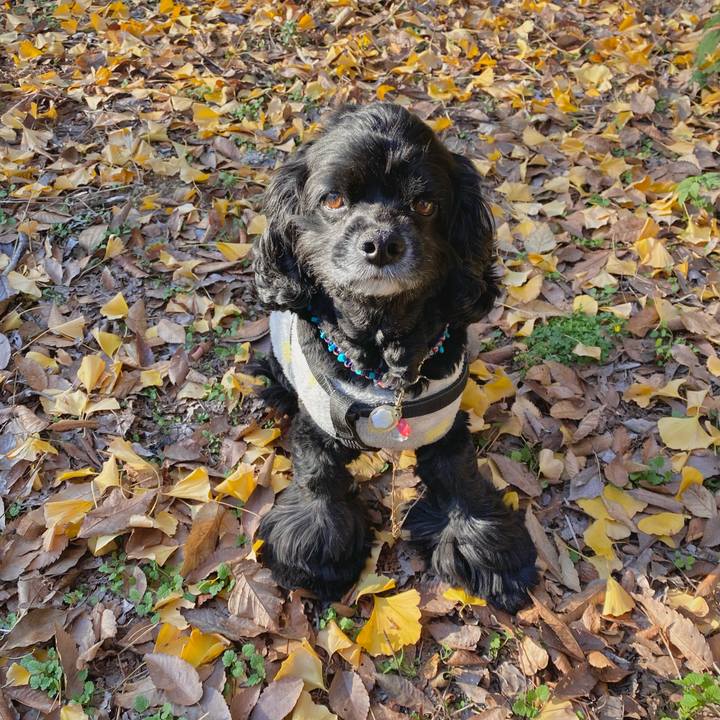 Efd23c3e aa31 4f9e b529 e36a782353a9 1638104280918