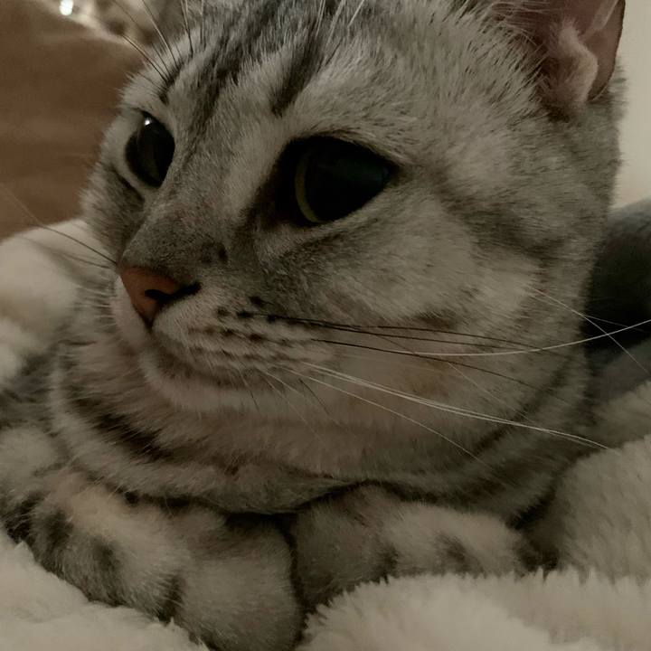 Efd25ca2 69eb 4005 a0b1 aea48df94515 1635204514659