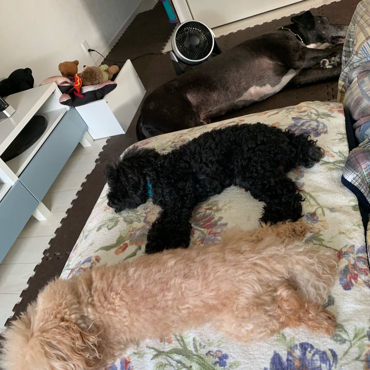 Efd273b5 5385 472b a74d 9ae204df605f 1560897596133