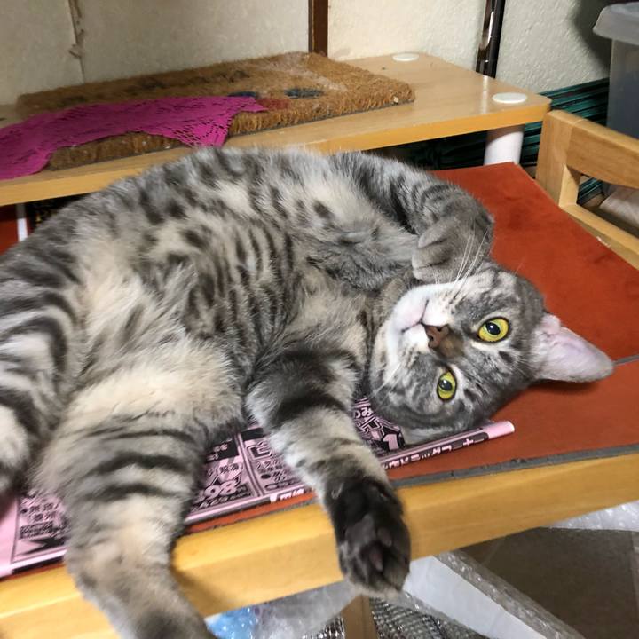 Efd287e2 b44f 4946 bbc8 8b2877a24f59 1645489437059