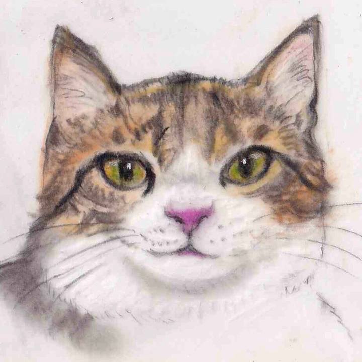 Efd29d65 4649 48d2 84c2 77831211c735 1638062946670