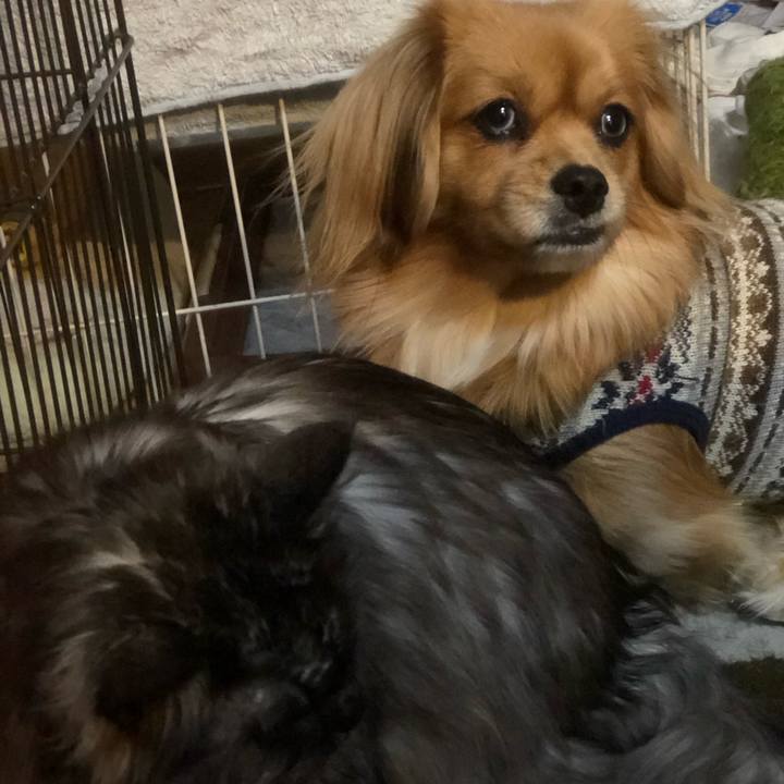 Efd2a393 2e38 4165 b47d f84187821da6 1547155806362