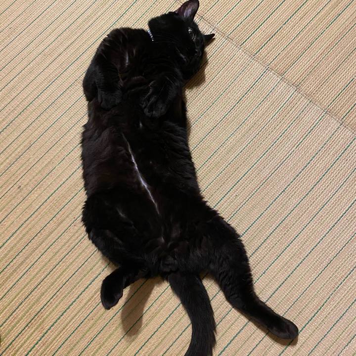 Efd2abd0 3de9 476e 9264 3408a7cbbddc 1656760441861