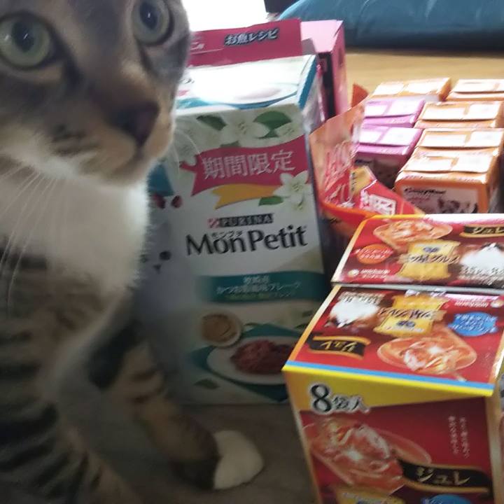 Efd2c38c ca87 422a 8557 4c46899845c1 1602042450451