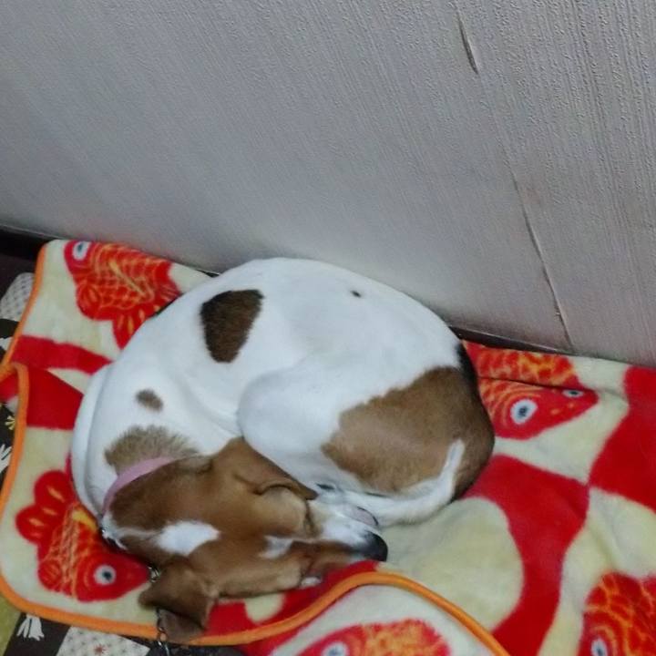 Efd2d375 b78a 4fd2 a349 75d145568601 1579962756536