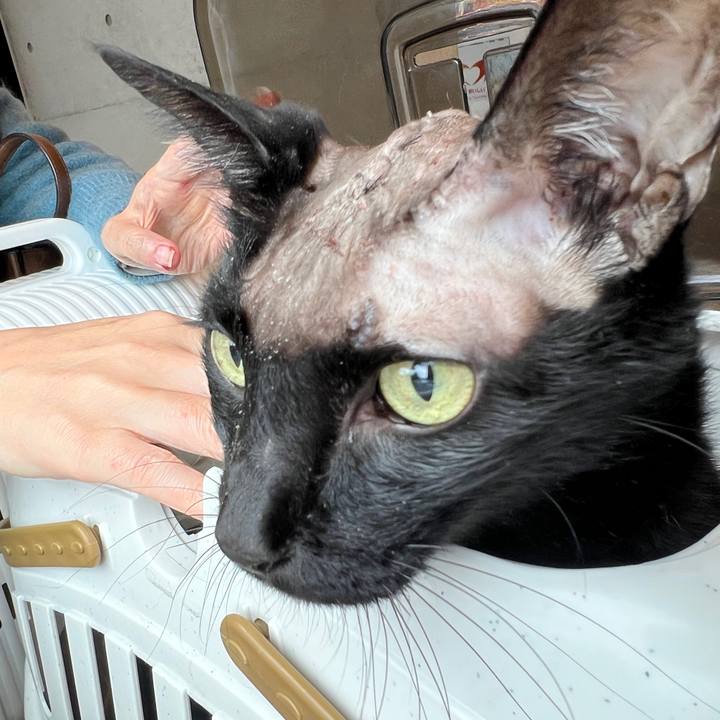 Efd2e588 e98d 4bcf 8fc2 70deb636ca72 1761967285949