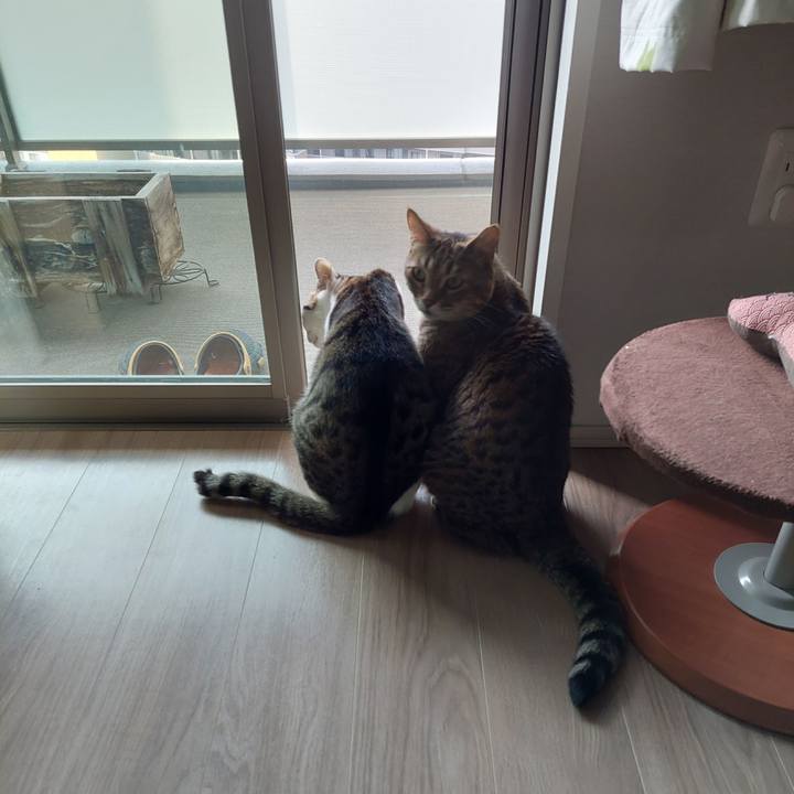 Efd33393 f068 420c a17f 6623cef0b8e5 1651703253199