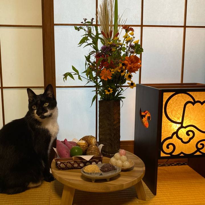 Efd33411 b9a4 4582 b2e8 d5581292b866 1632218303673