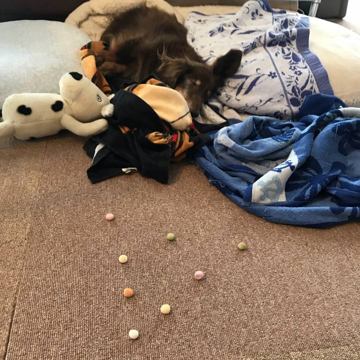 Efd3350a f6b9 45f6 86e9 2979020af3f0 1535101803345