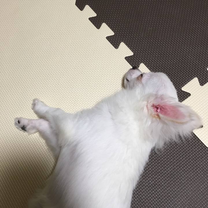 Efd33878 02a3 4dc2 b1a8 8815c3eb1e33 1520958183158