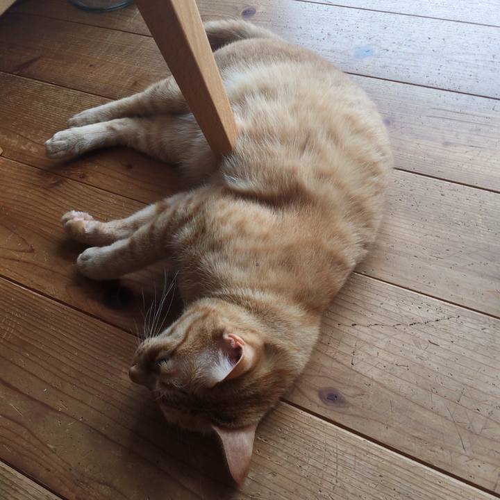 Efd342d8 7923 4f5b b49f 2800bdb4152c 1568594616349