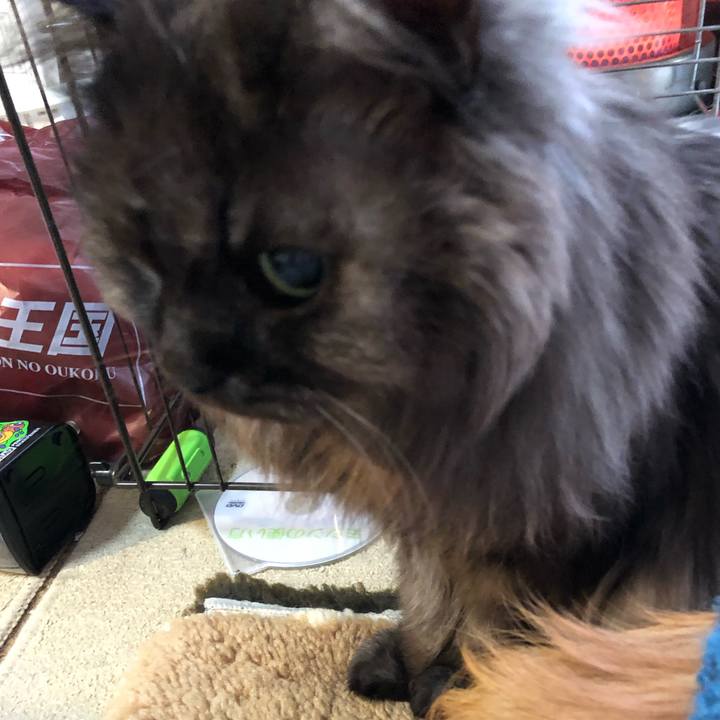 Efd360f6 a620 4e15 a88e e8b2caf7381f 1550185537984