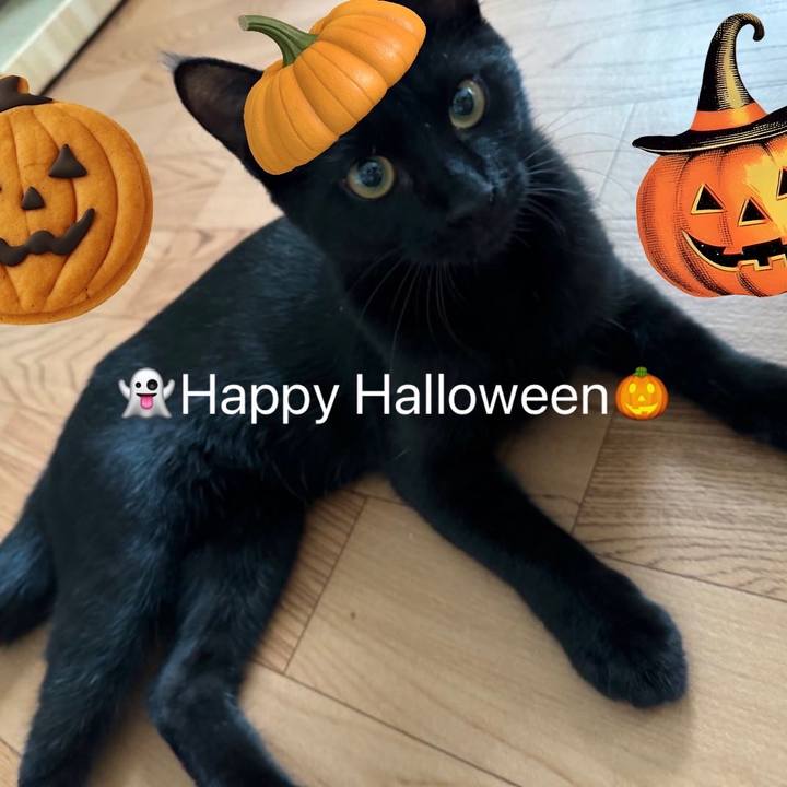 Efd3c17d 8083 400c a9fb 86a3d13be243 1730301318441