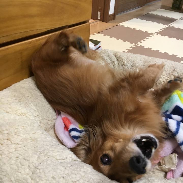 Efd3c26c 5648 4aef 839e d0a4113e3858 1554810251753