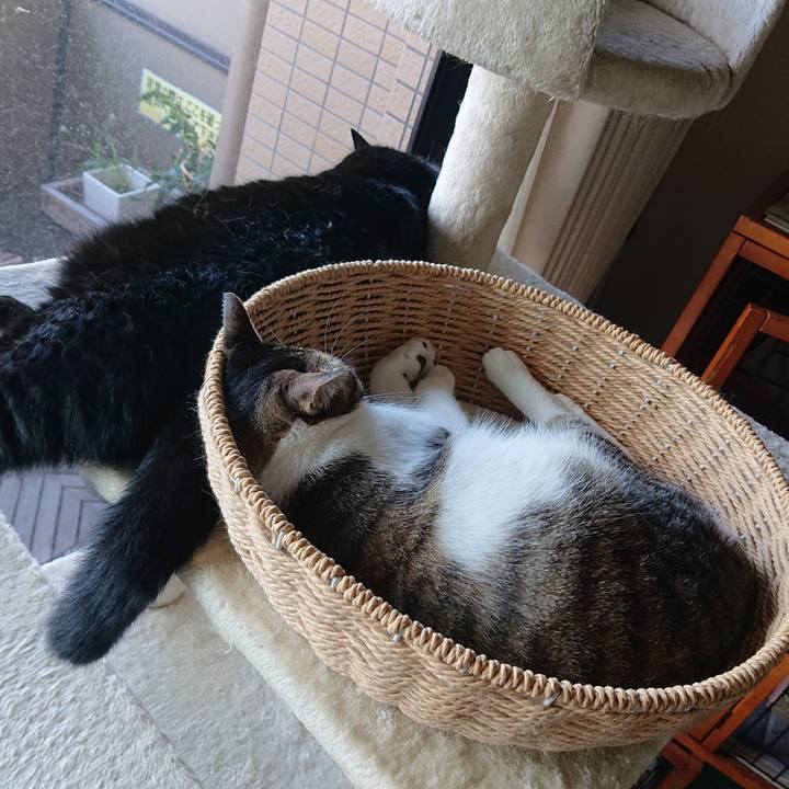 Efd3cb4d 8095 48c1 bcf6 d1f86e22f960 1595381948888