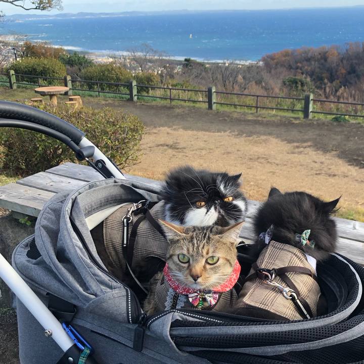 Efd3fb56 a502 4fe3 b03c 59fd03627f22 1671349036733