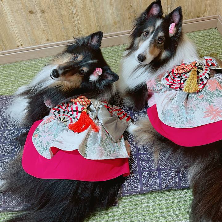 Efd435a6 db81 4c12 b981 6b0784960fa1 1704735698581