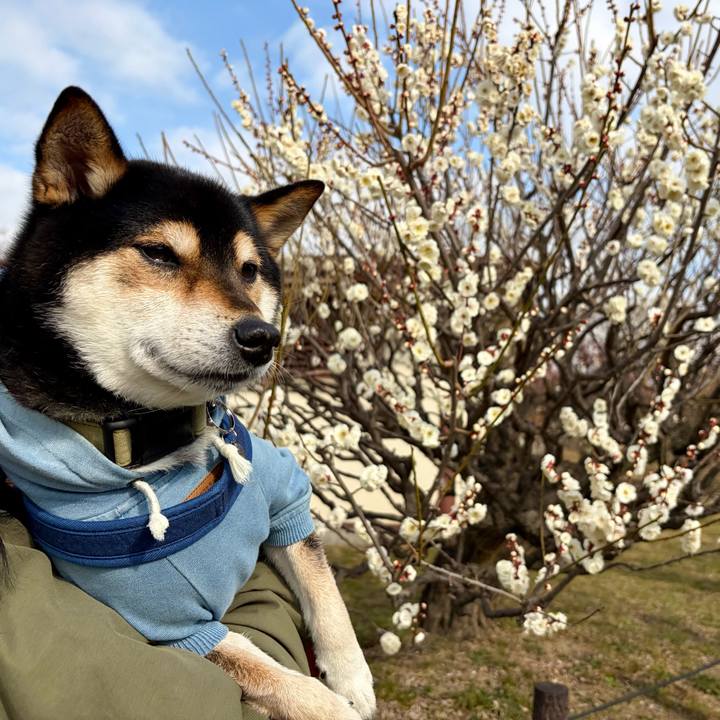 Efd443a8 0f08 4a3b 9acc d0e5b7a90f19 1770517267622