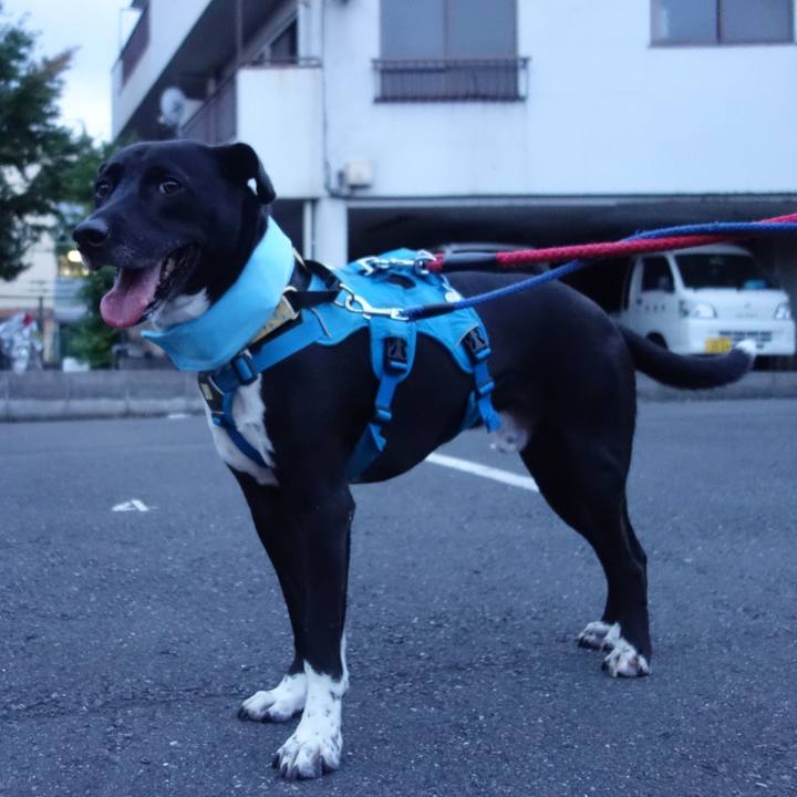 Efd456f4 cce9 4c6e 8ef6 8835d5a01325 1627210626237