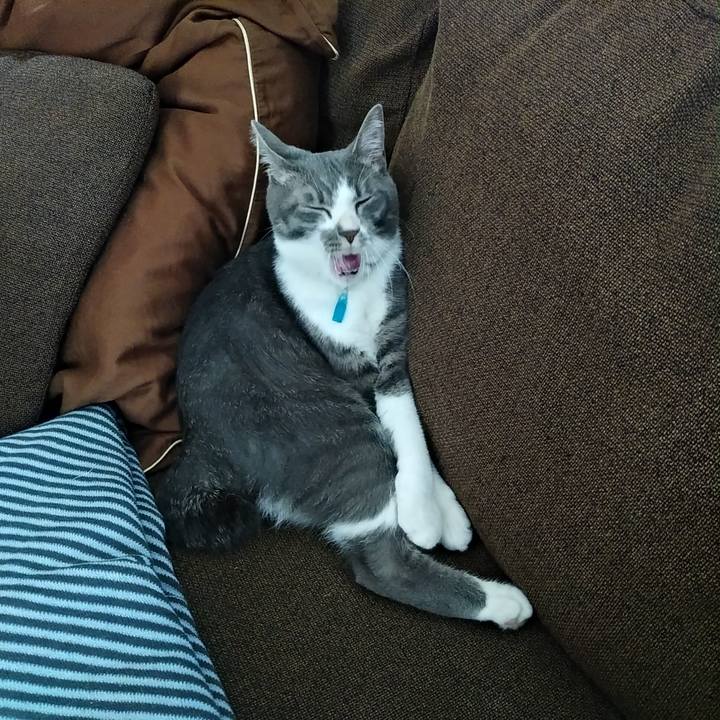 Efd462f2 acf2 4210 a7d0 004e0ee0f924 1592539545494