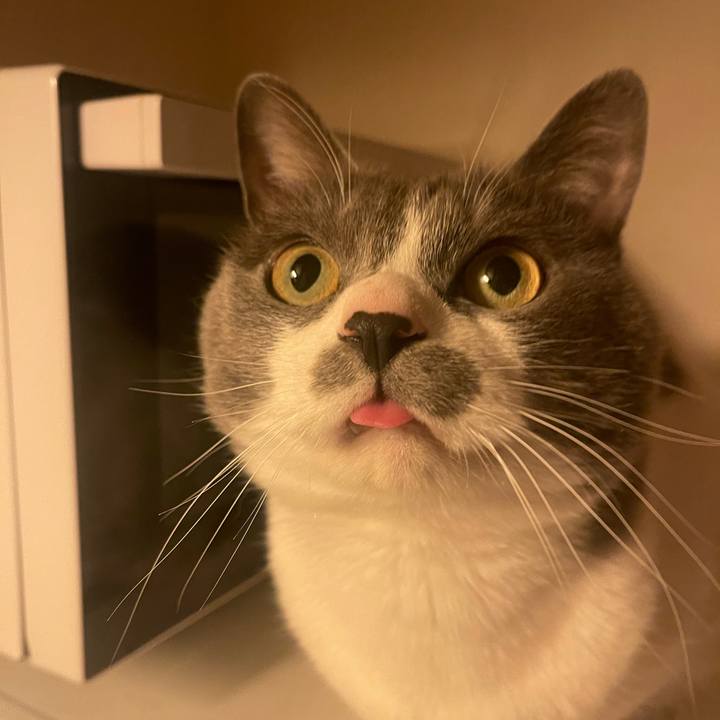 Efd4726b affc 4652 9a5e 914247d65afd 1681382260571