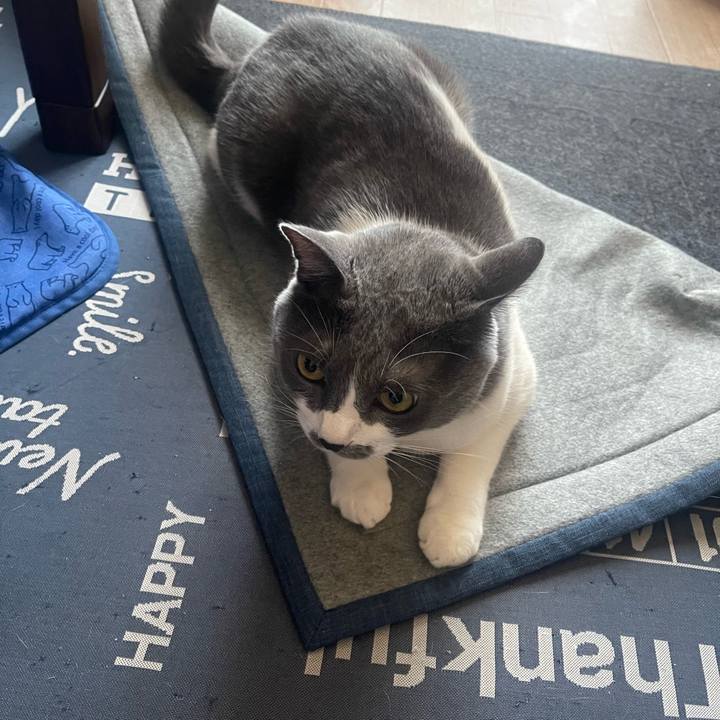 Efd47dc9 c80b 41a4 973a 596f1dd5cf37 1723849234777