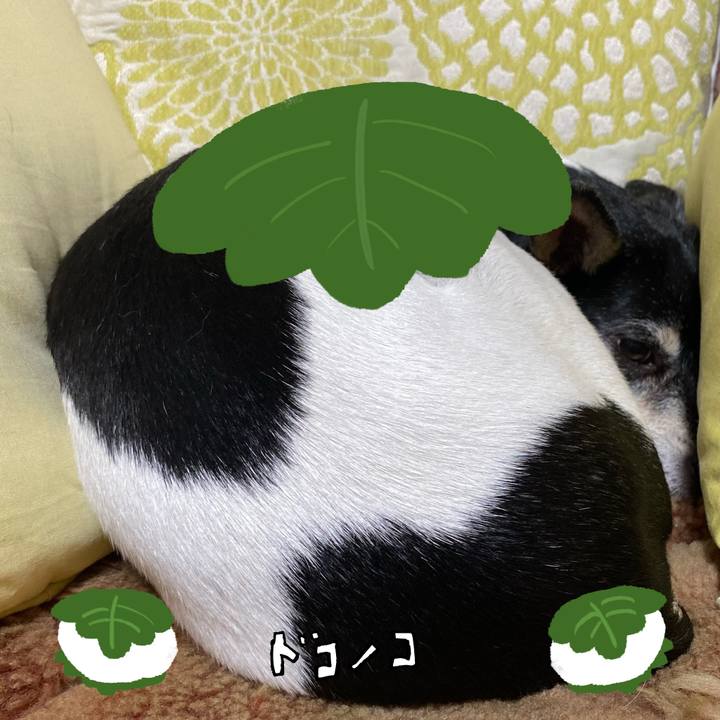 Efd48a69 e6c8 4e3e 99ba 46354686c84f 1749600463924