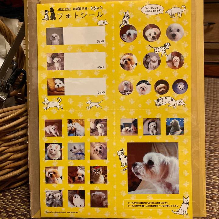 Efd4c9f6 3df7 4f10 a2b2 3a5b9cf14c06 1650629871737