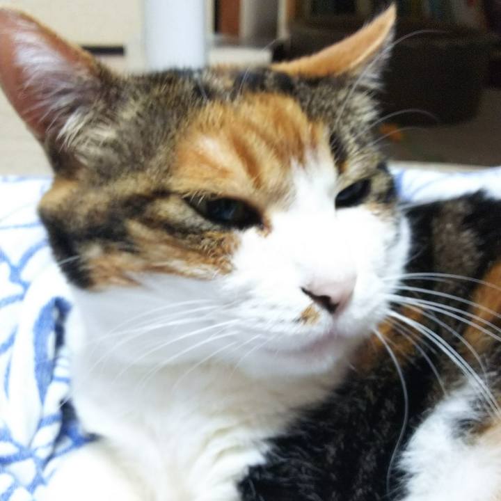 Efd4dfa4 2fcb 4646 912a 38ba8cba58aa 1530049115566